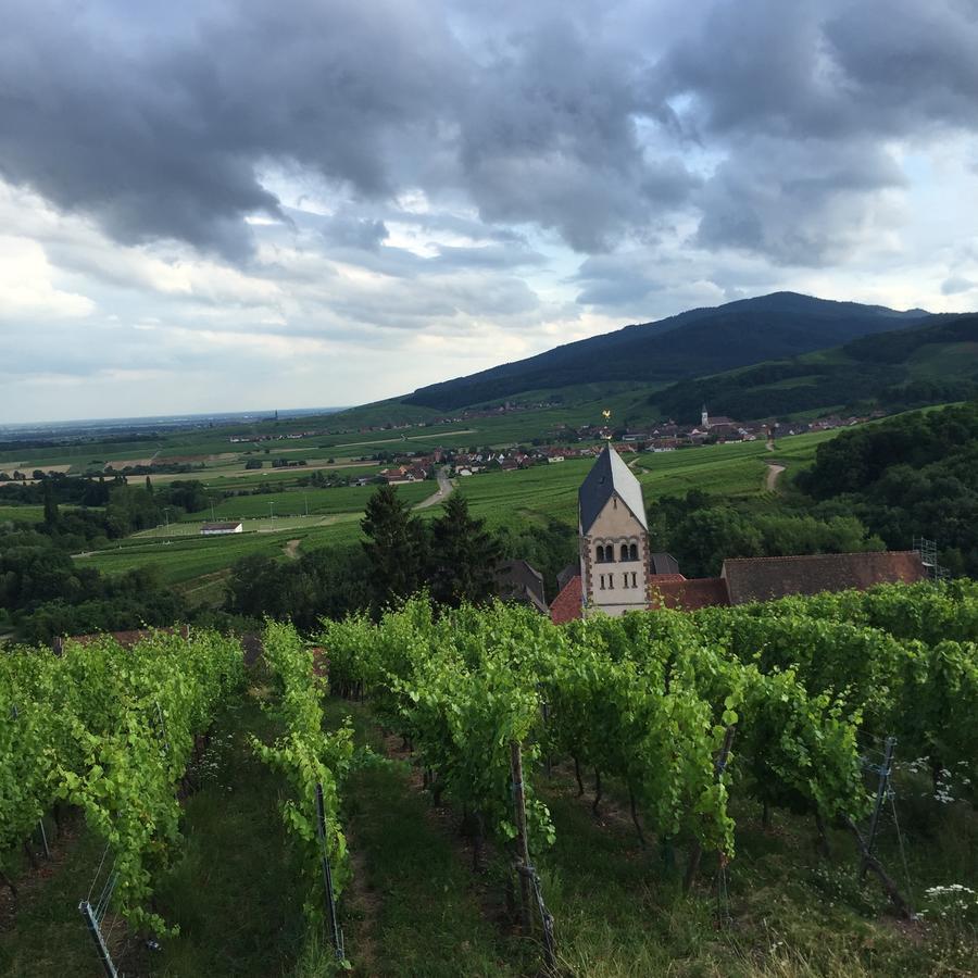 Gite Fleur De Vignes イッタースヴィラー エクステリア 写真
