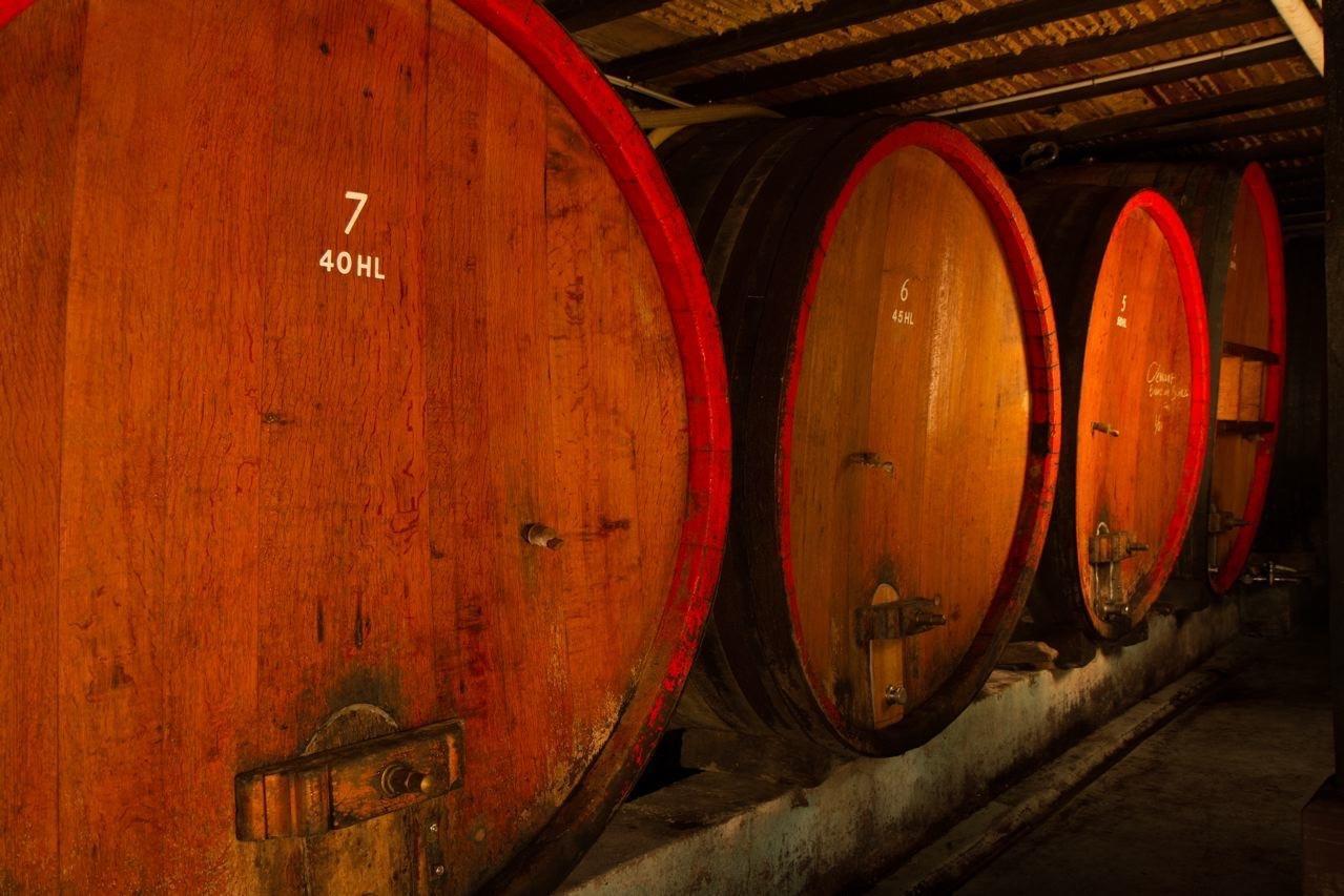 Gite Fleur De Vignes イッタースヴィラー エクステリア 写真